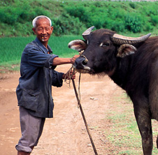 小型飼料顆粒機,農(nóng)民圓夢！